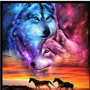 Meet your Posher, Lynn